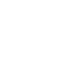 Vagrant IV